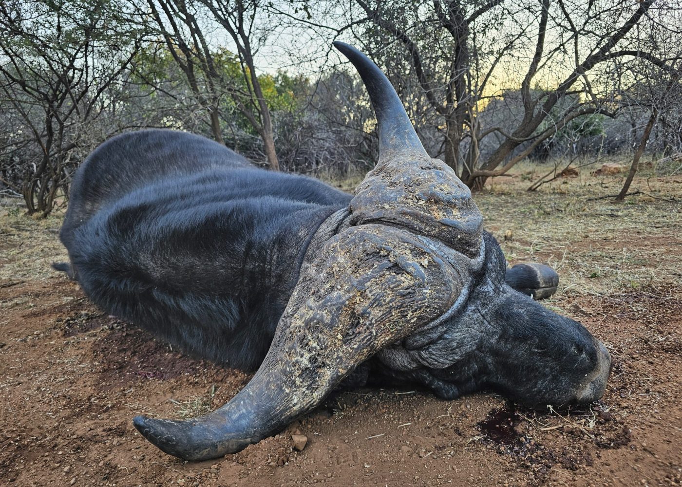 Langkloof hunting gallery photograph 6