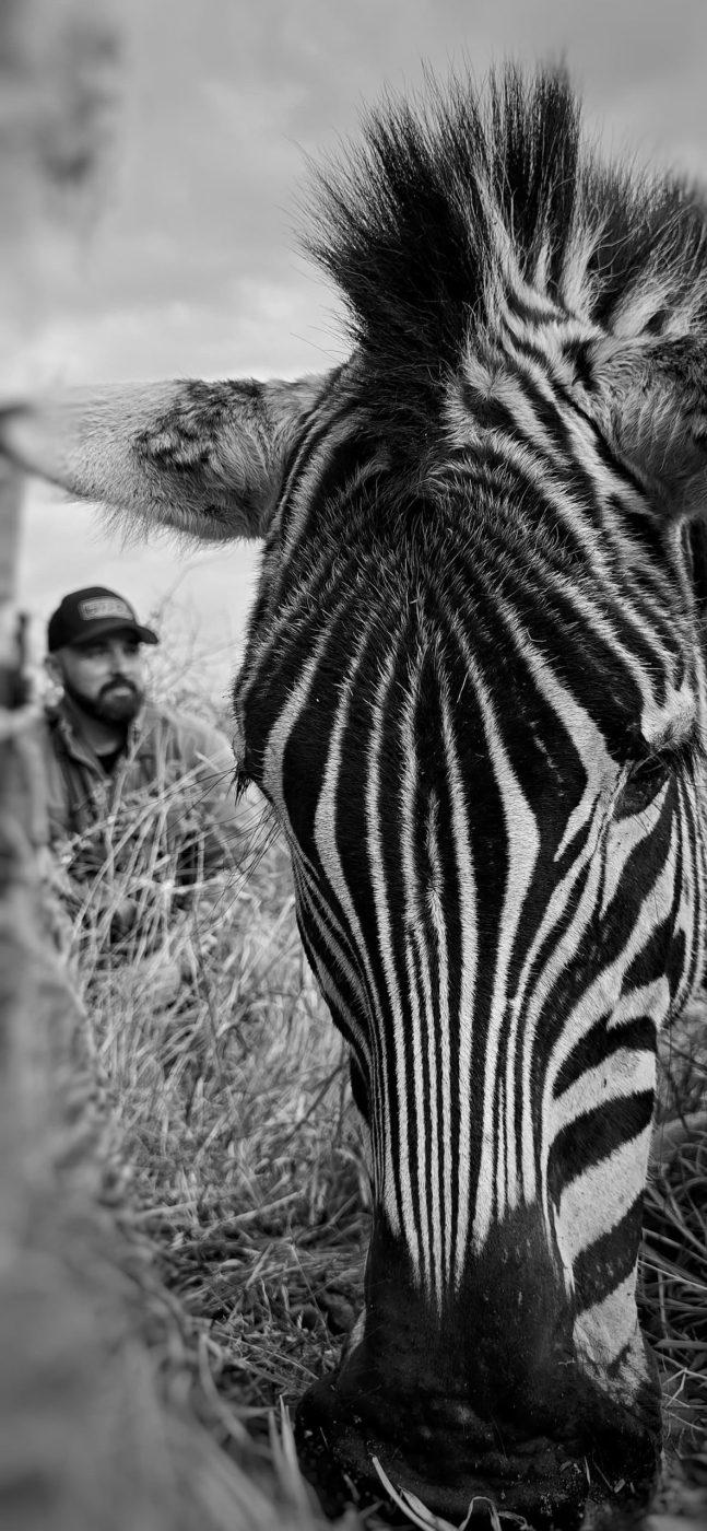 Langkloof hunting gallery photograph 9
