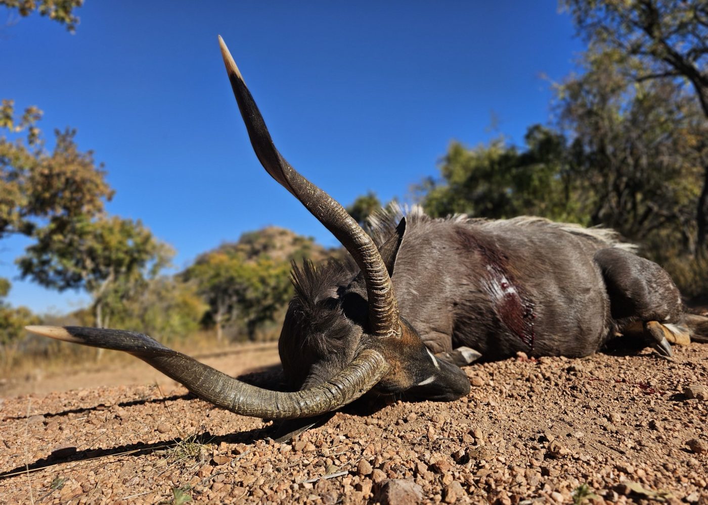 Langkloof hunting gallery photograph 16