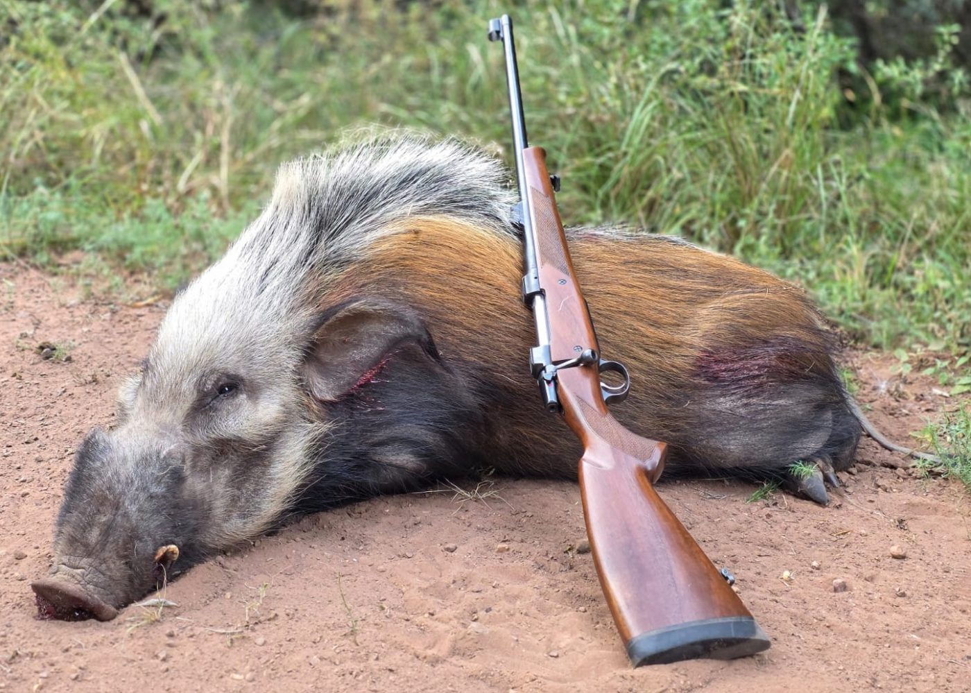 Langkloof hunting gallery photograph 23
