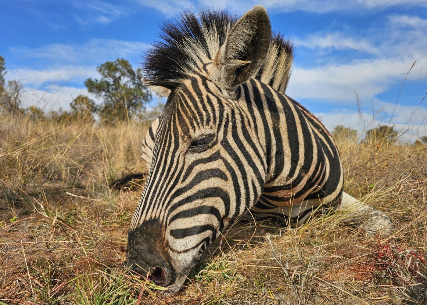 Langkloof hunting gallery photograph 34