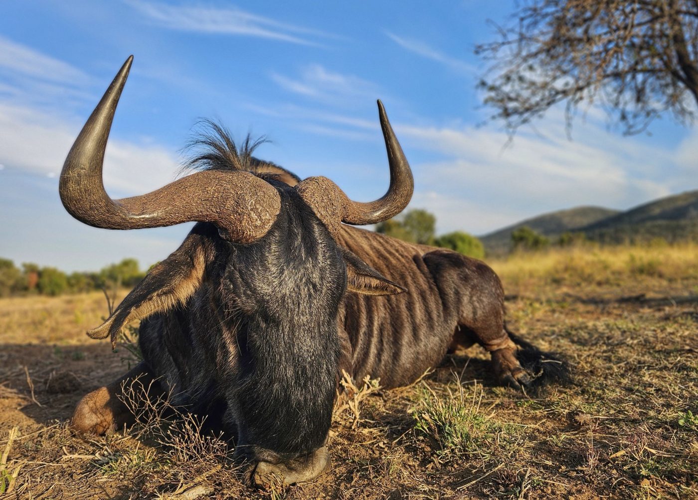 Langkloof hunting gallery photograph 35