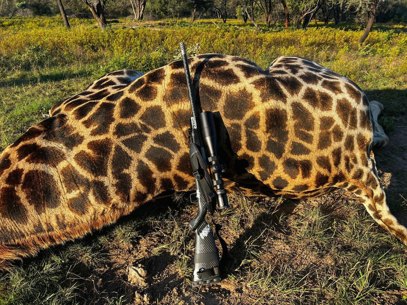Langkloof hunting gallery photograph 39