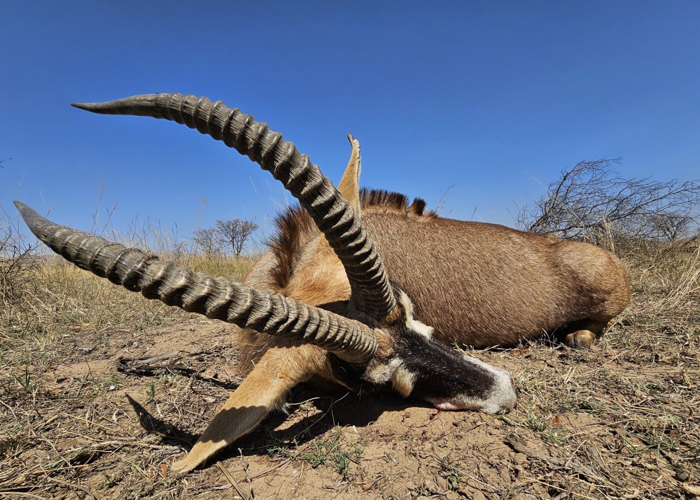 Langkloof hunting gallery photograph 75