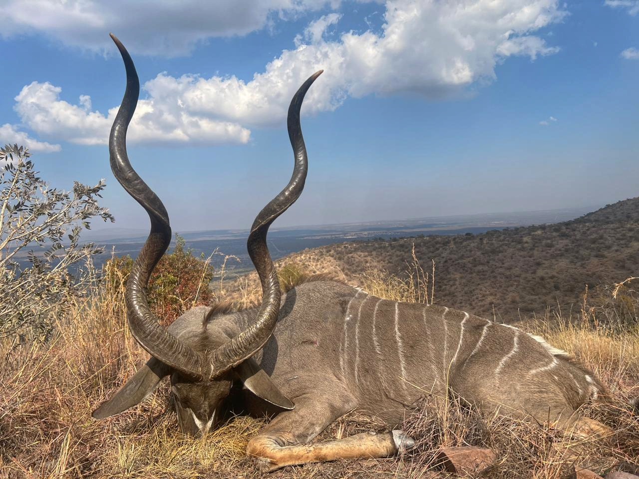 Langkloof hunting gallery photograph 91