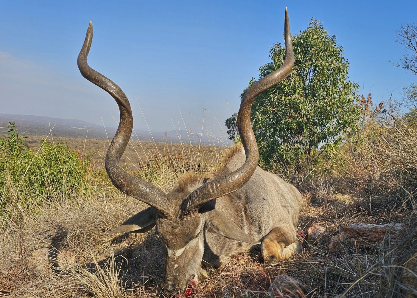 Langkloof hunting gallery photograph 129
